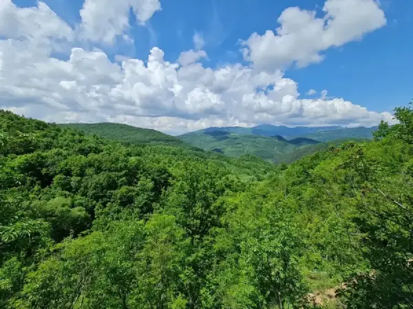 epic-tours-programs-by-season-spring