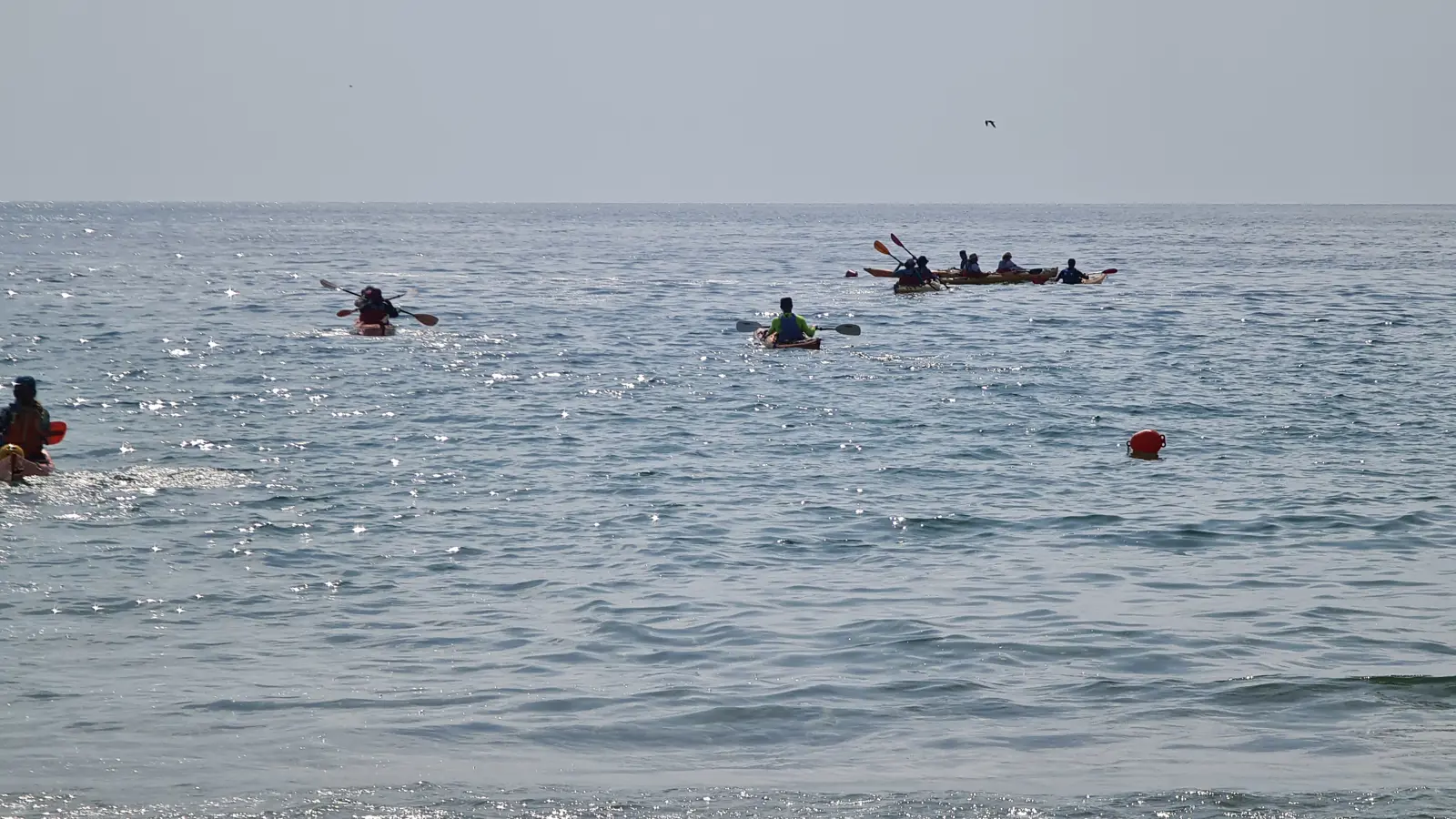 kayaking-black-sea-maslen-point