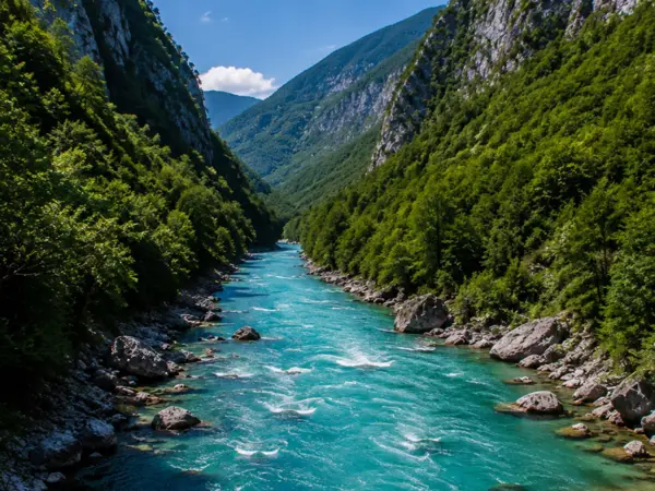 rafting-na-tara-