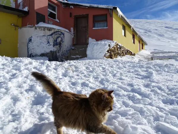 trek-botev-winter-via-ravnets