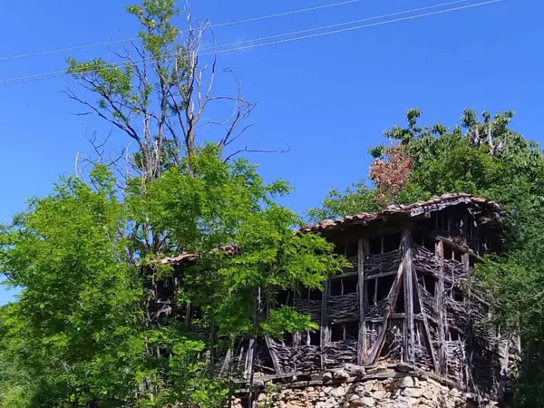 trek-klikach-vlahina-planina