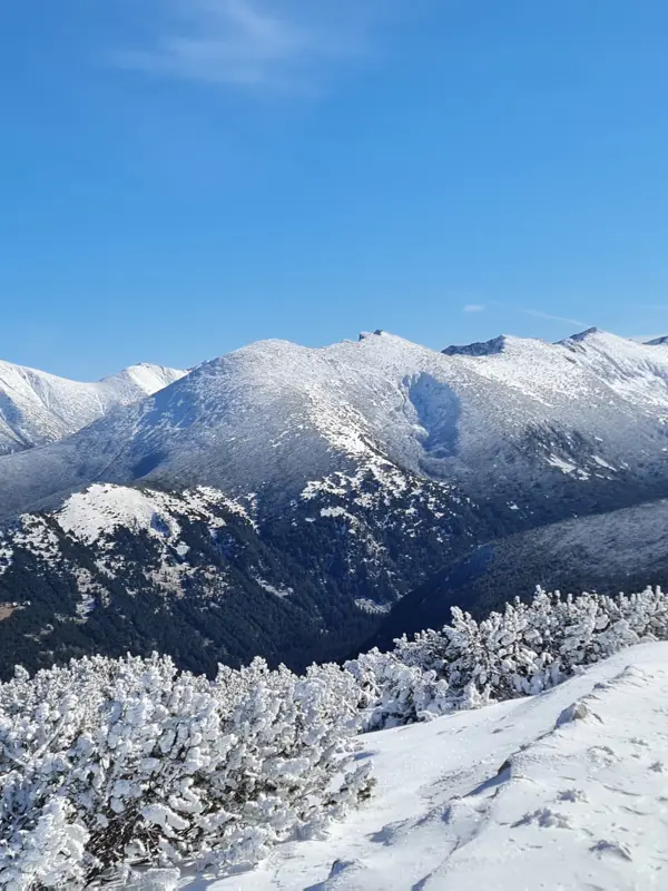 trek-mechit-peak-one-day