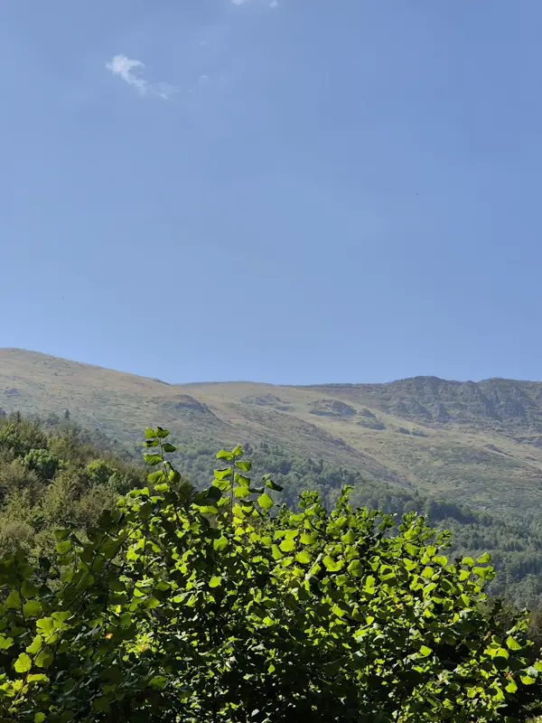 trek-midzur-via-midzur-hut