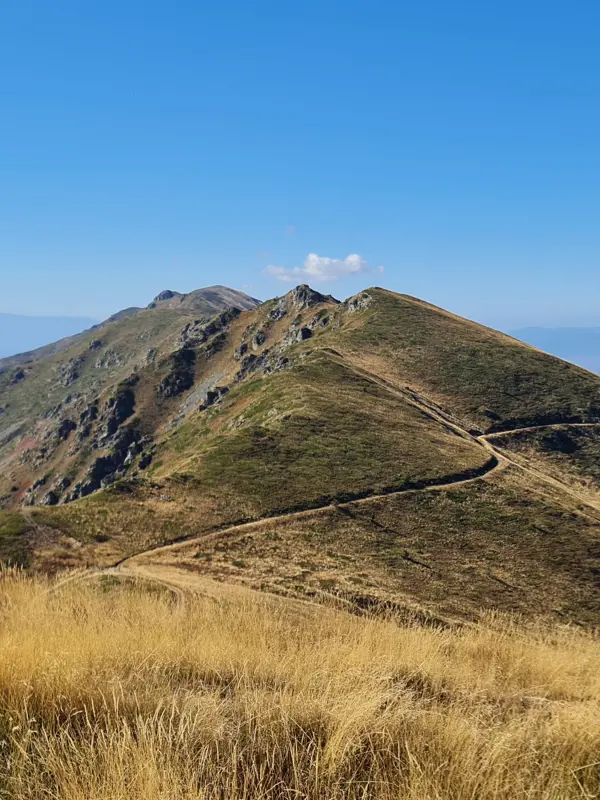 trek-radomir-peak-dolene-village
