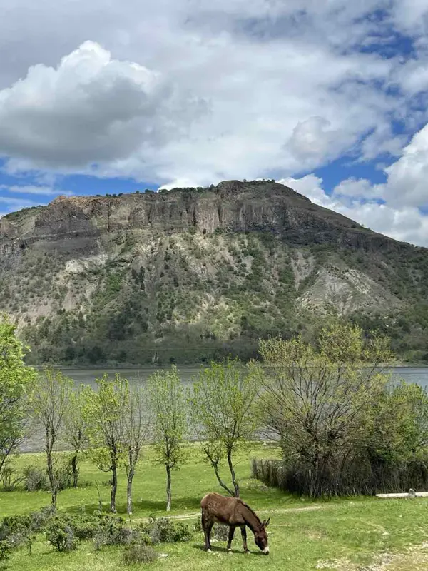 trek-rhodope-east-4-days