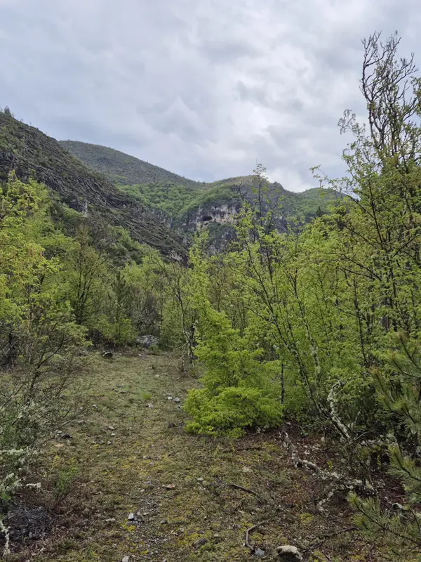 trek-rish-peak-shegava-gorge