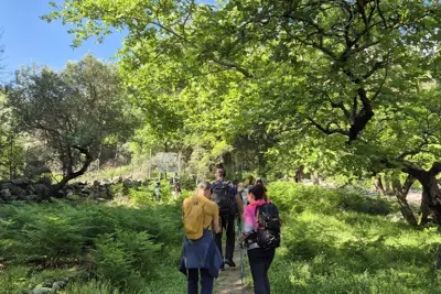 Samothrace - the Magic of the Aegean – The Fonias waterfalls