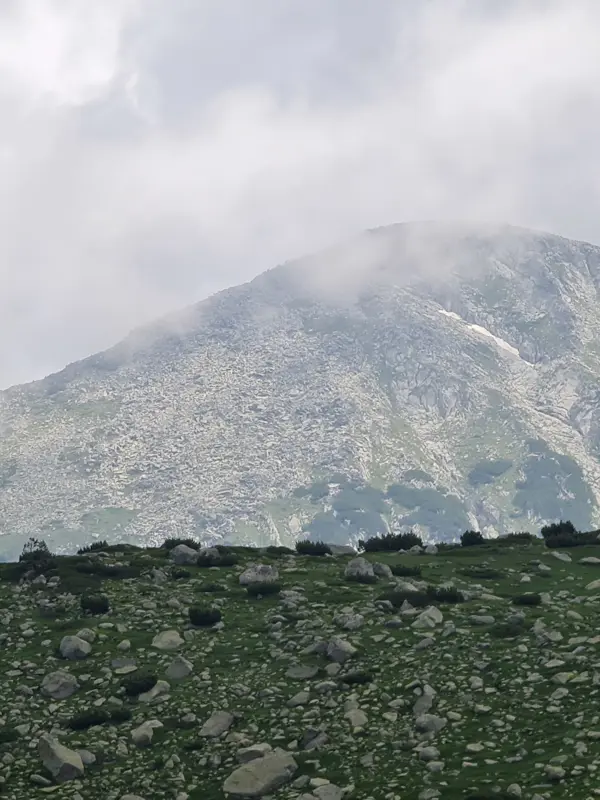 trek-spano-pole-sinanitsa