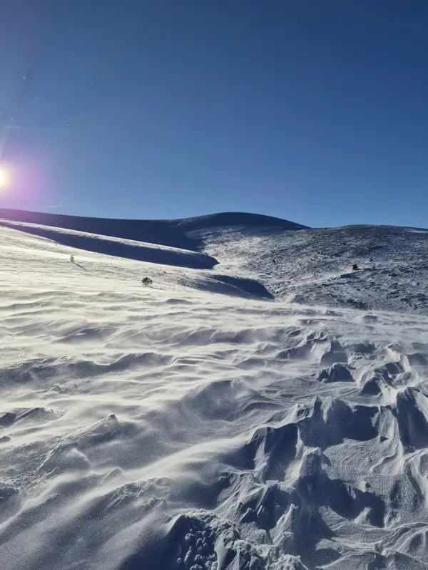 trek-tashmandra-winter