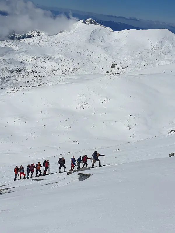 trek-winter-spano-pole